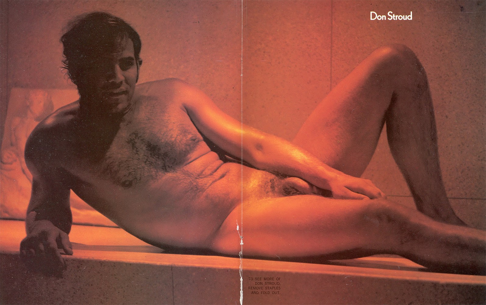 Accept. The Don stroud naked pics all Don stroud naked pics not absolutely